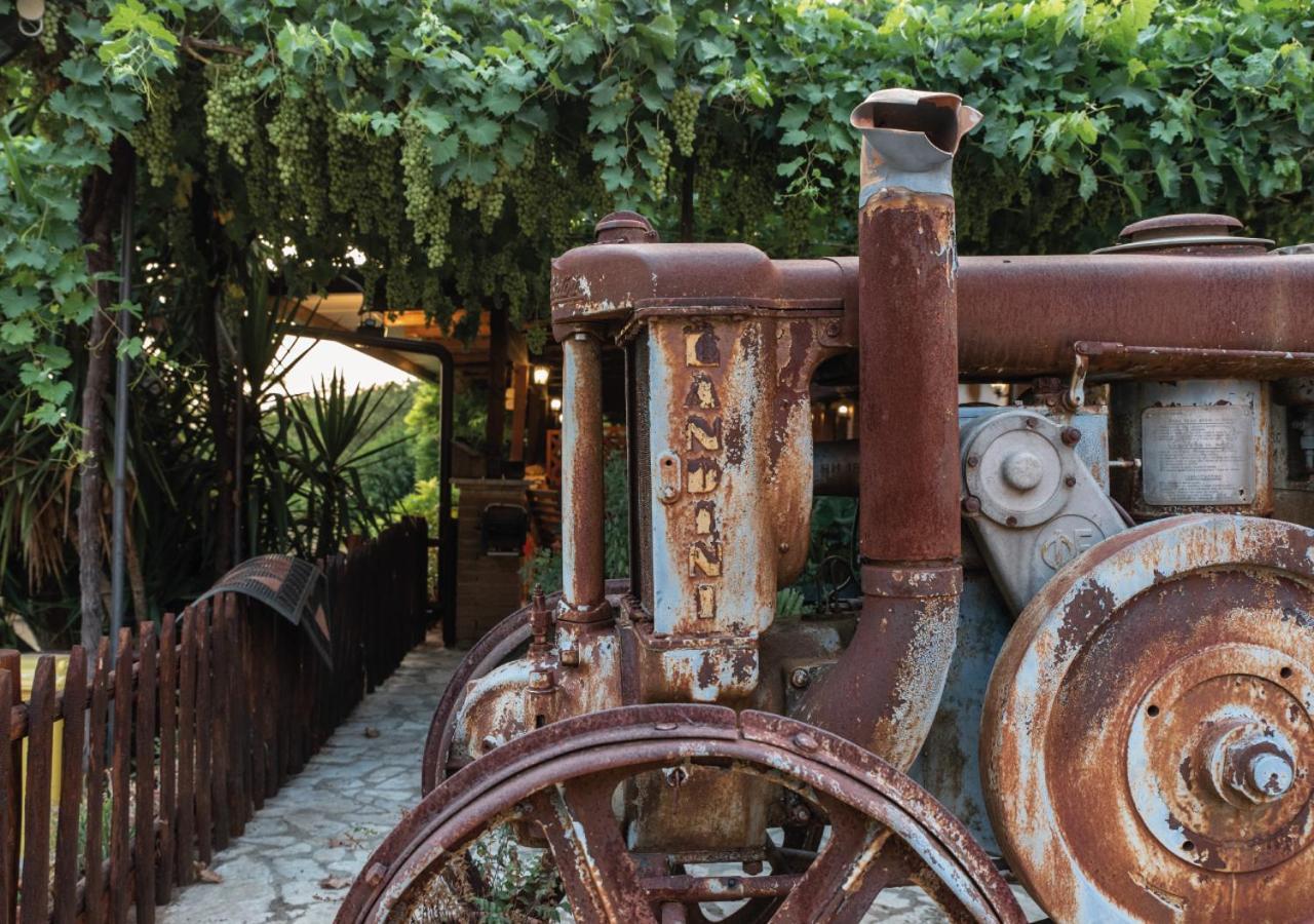 Il Sorgituro - Agriturismo Postiglione Bagian luar foto