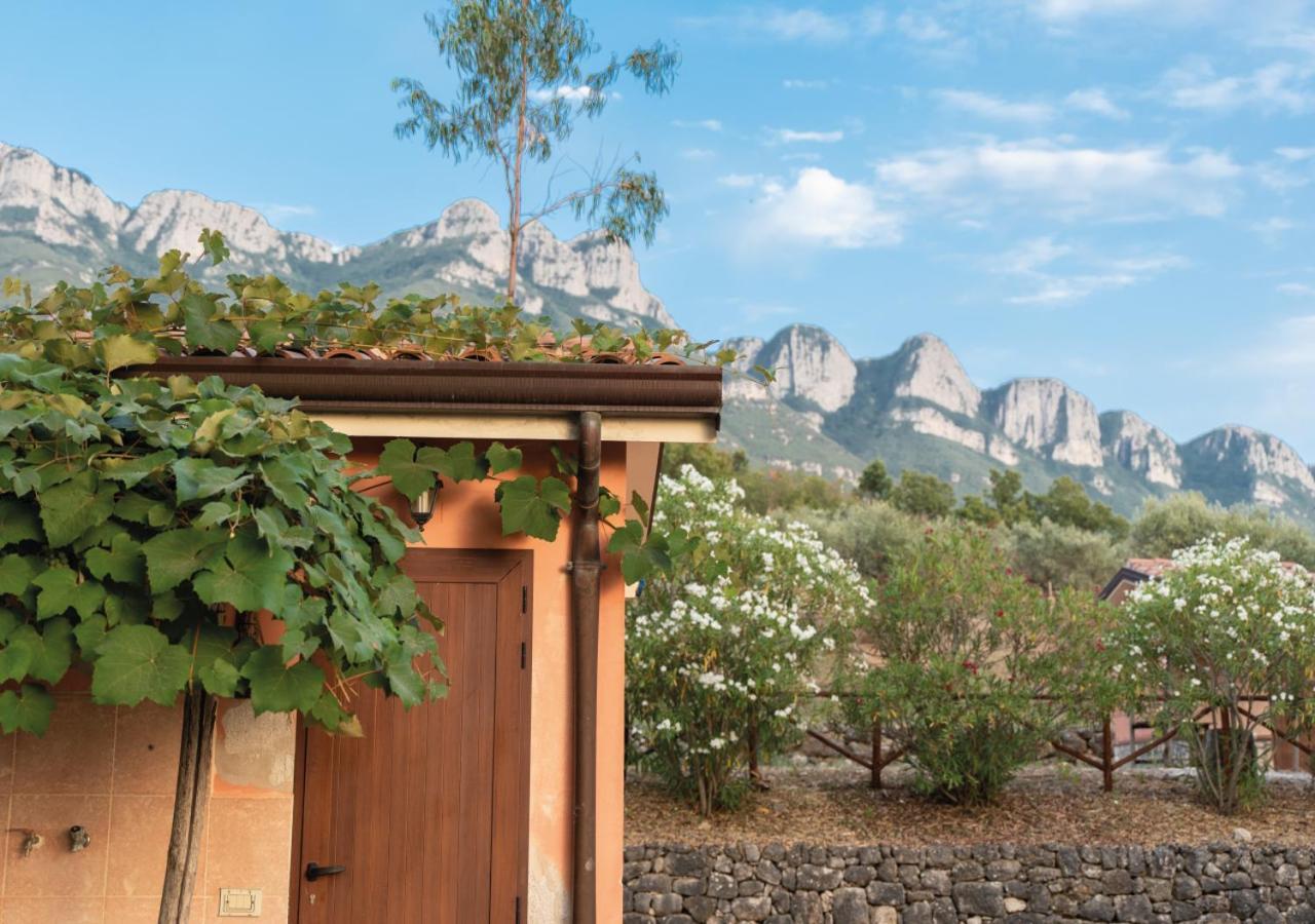 Il Sorgituro - Agriturismo Postiglione Bagian luar foto