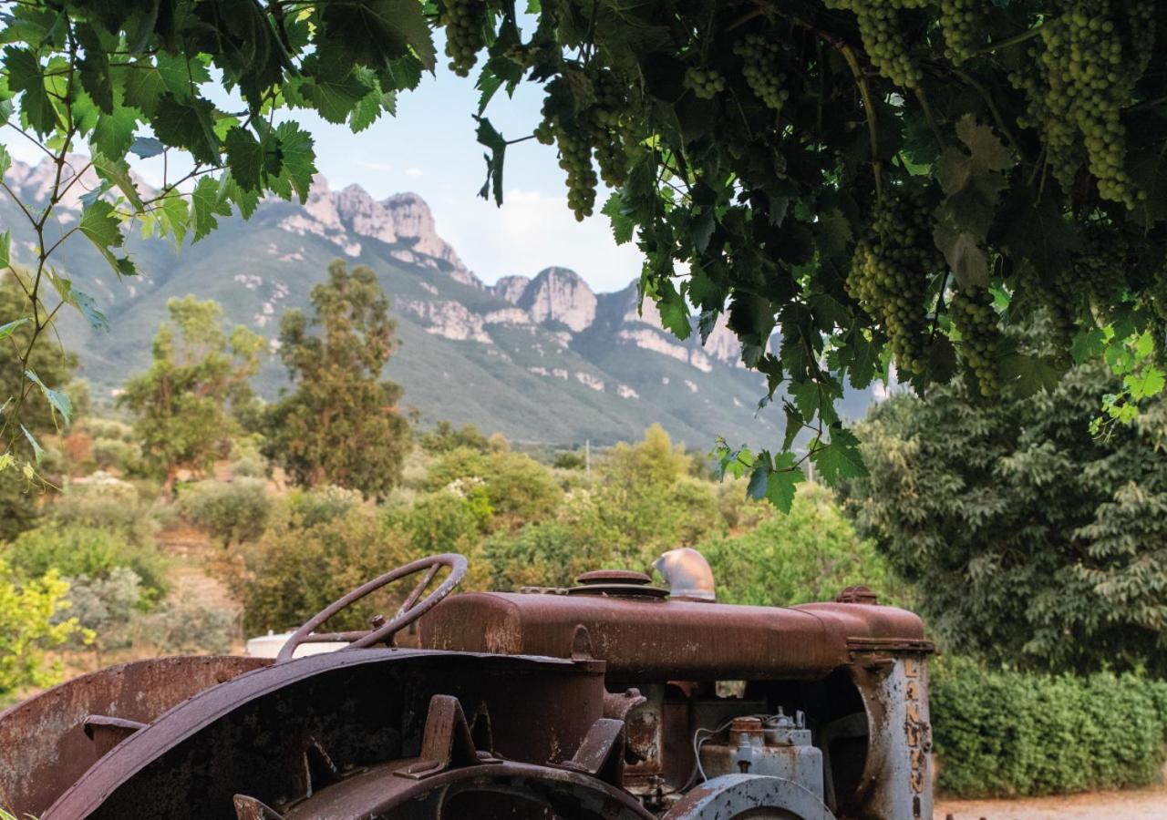 Il Sorgituro - Agriturismo Postiglione Bagian luar foto