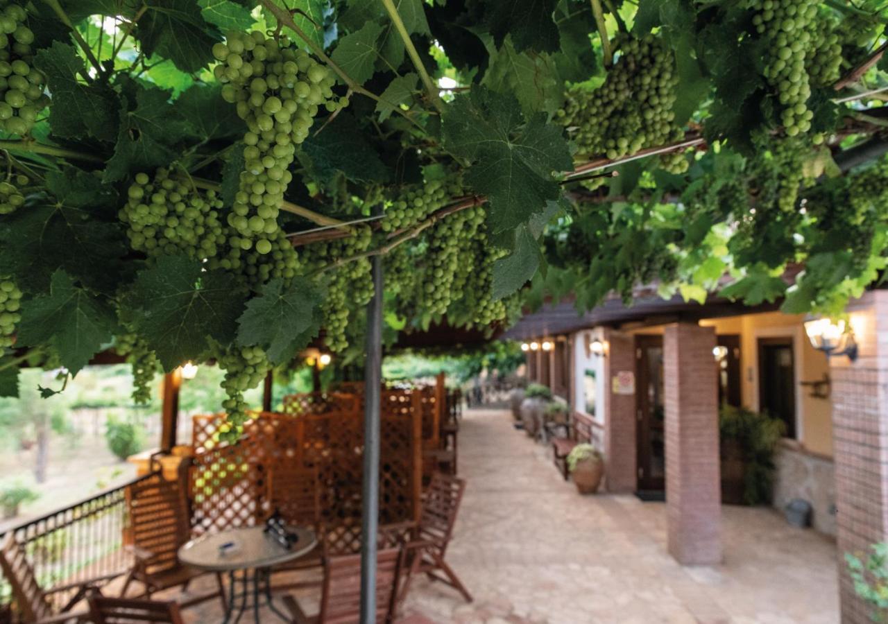 Il Sorgituro - Agriturismo Postiglione Bagian luar foto